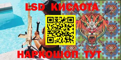 стаф Кимры