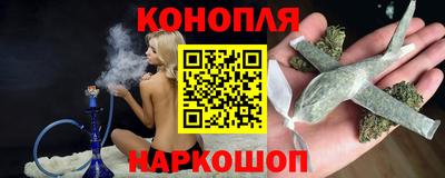 сатива Кингисепп