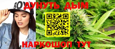 сатива Кингисепп