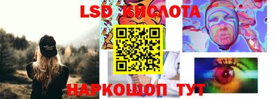сатива Кингисепп