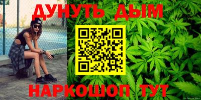 сатива Кингисепп