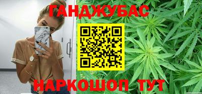 сатива Кингисепп