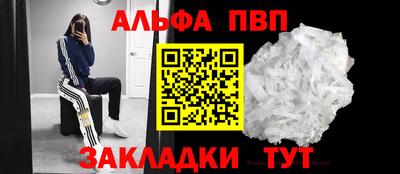 сатива Кингисепп